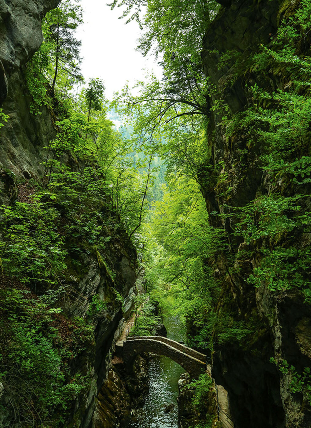 A big bridge over a body of water, connecting two walking trails.