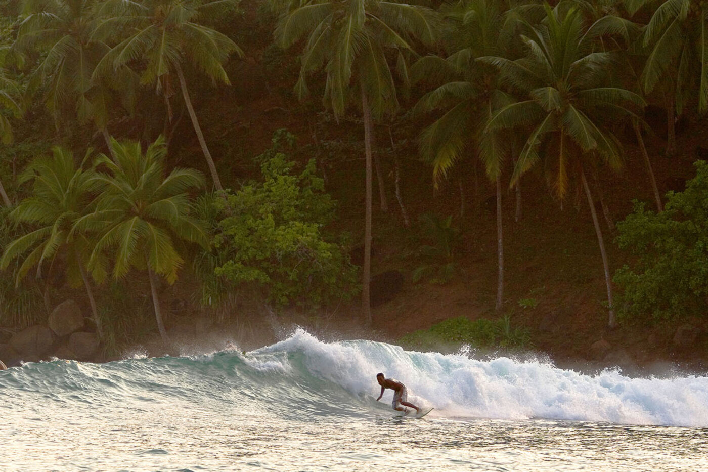 A surfer is riding a wave. An island with many palm trees is behind them.