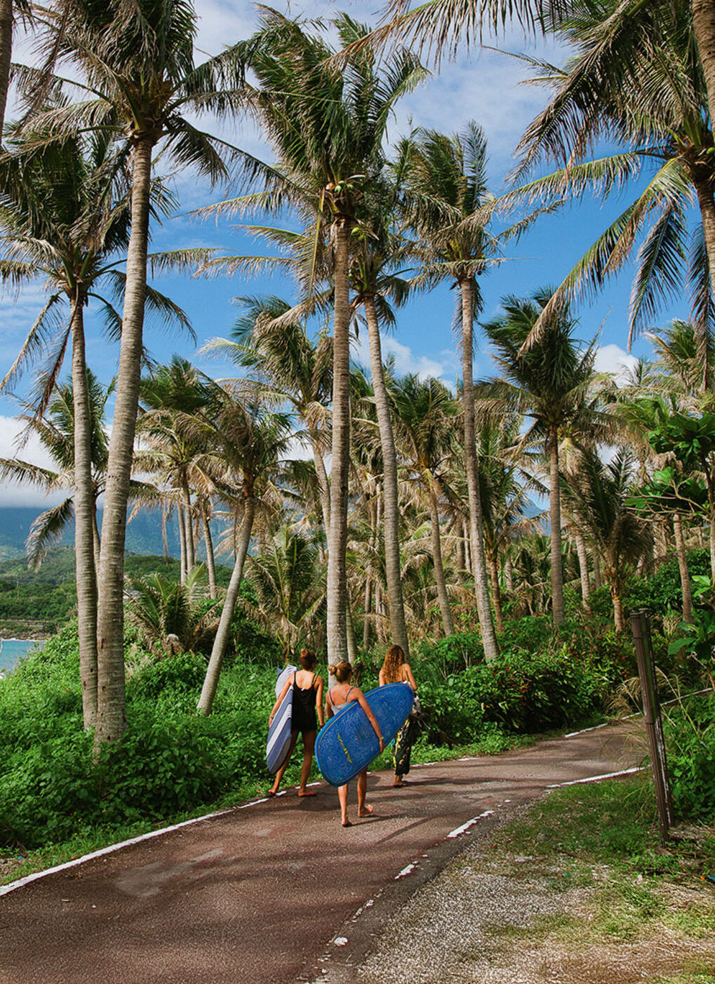 Three people with surfboards walk down a path. Palm trees take up both sides next to them.
