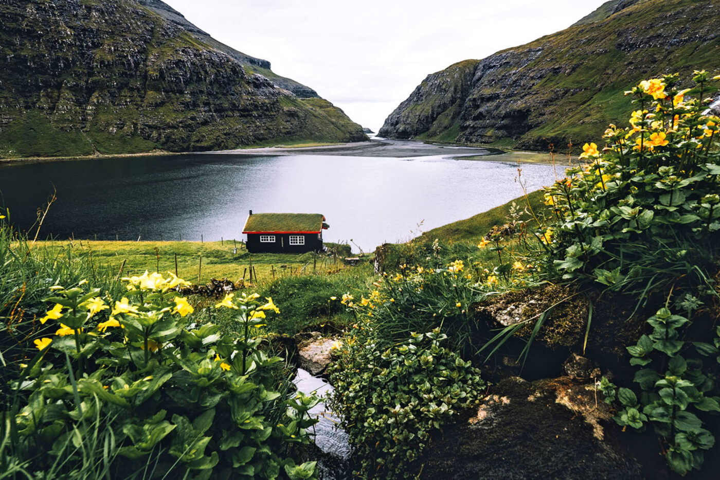 A cottage with a grassy roof stands right up against the water. Up a bit from the cottage is greenery filled with yellow flowers.