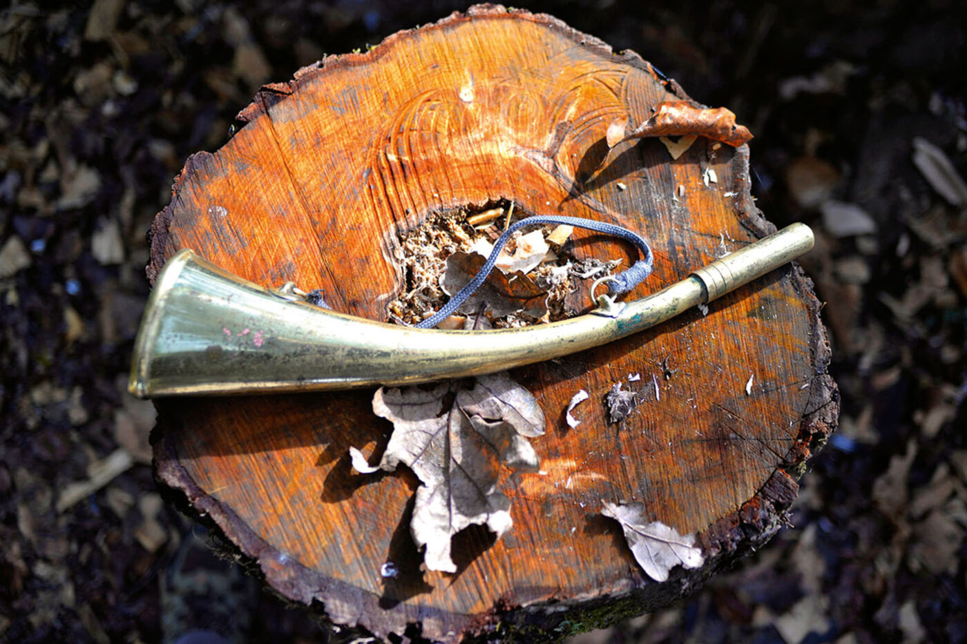 Pigeon hunters use horns to give commands.