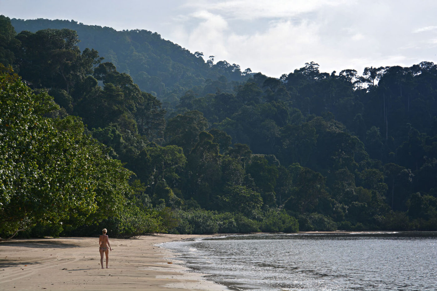 Ancient rainforest and the Andaman Sea prove a winning combination.