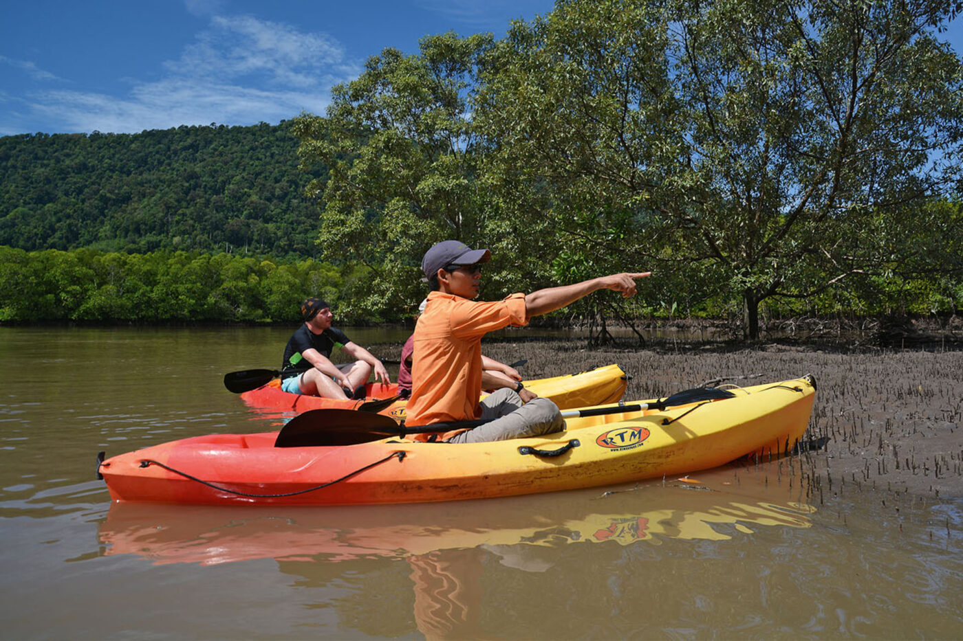 Unearthing the secrets of the mangroves sprouting from Kubang Badak River.
