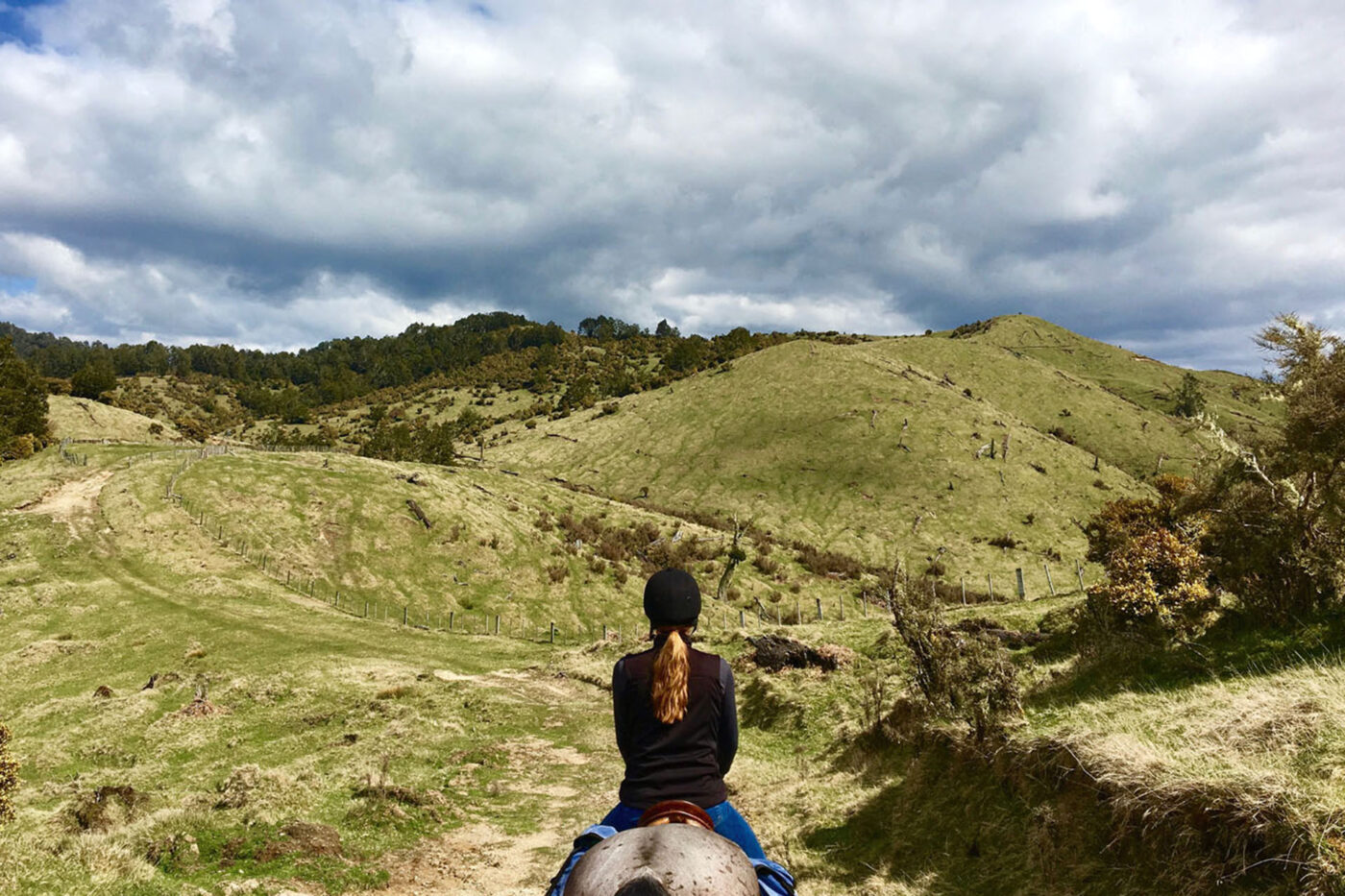 A person on a horse, riding through the giant green hills.