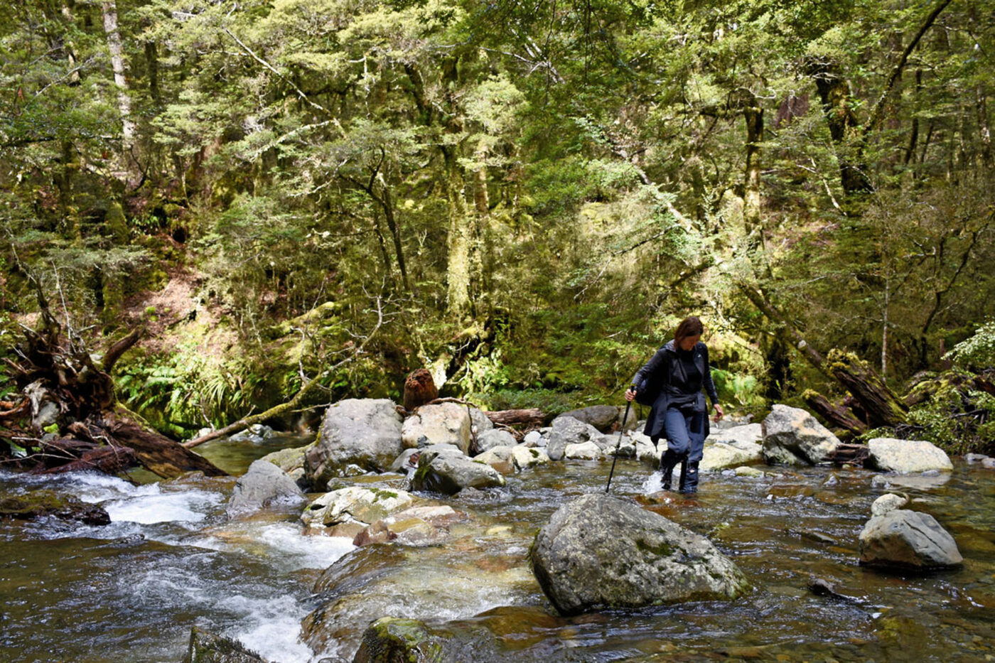 A person with a walking stick crossing the rocky river.