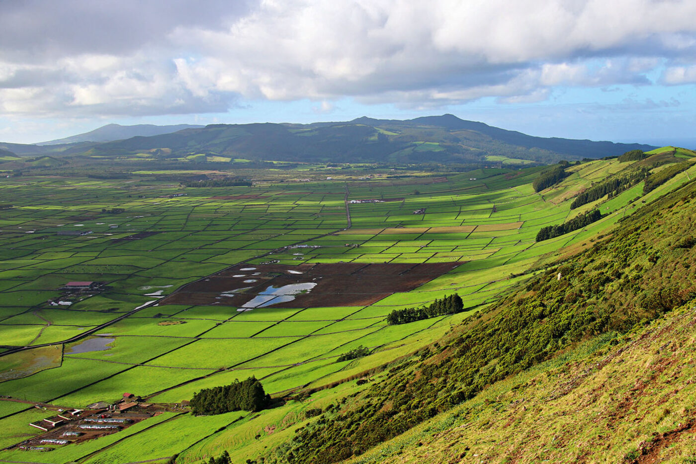 A very green landscape showcasing the green pastures divided by stone walls.