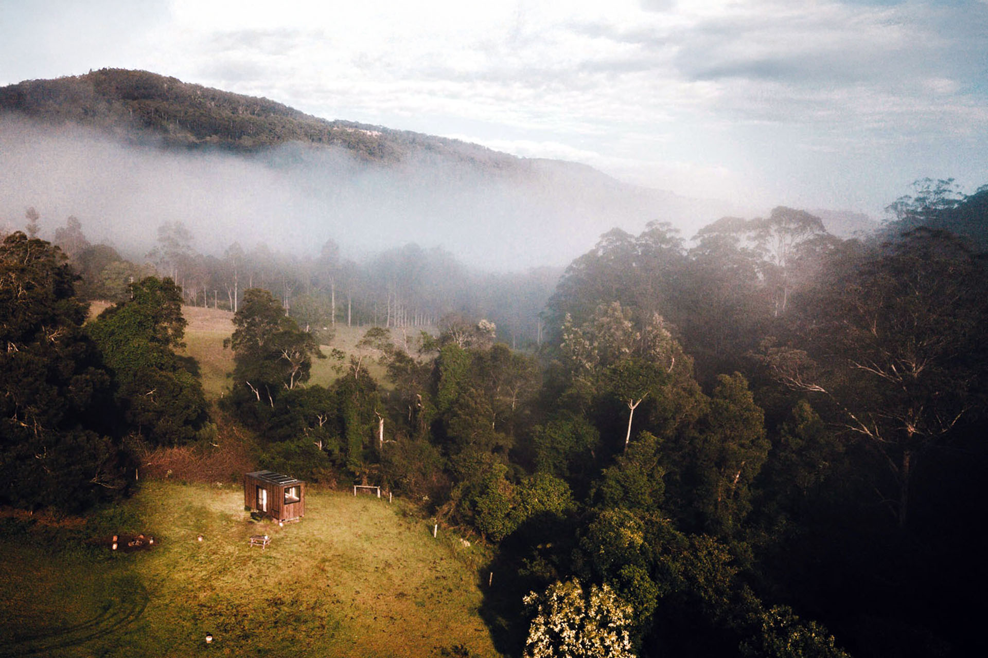 A forest with thick fog all through it. A tiny shack stands in the middle of a clearing.