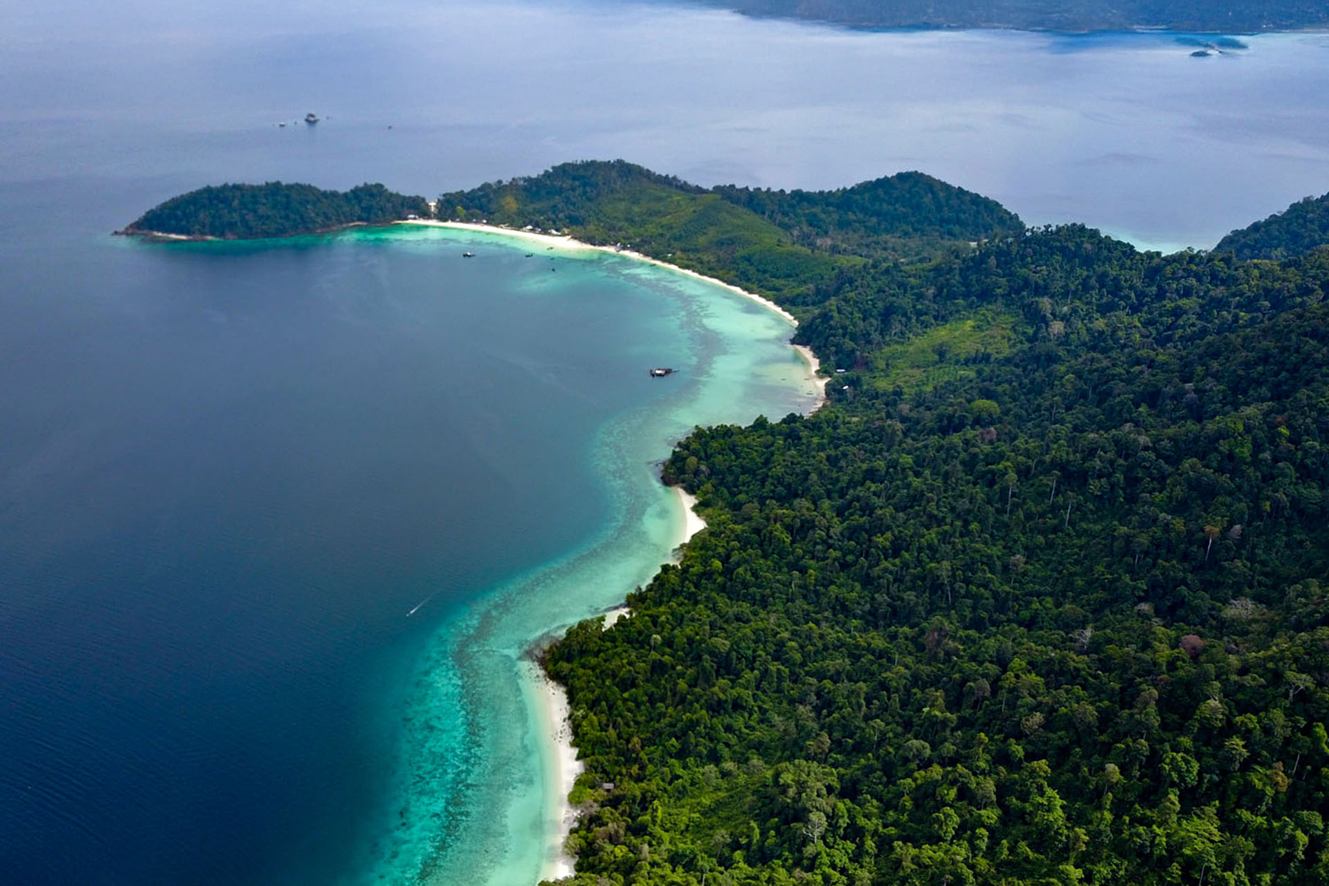 An aerial shot of a bay, with crystal blue water coming into a white beach. A forest of trees behind it.