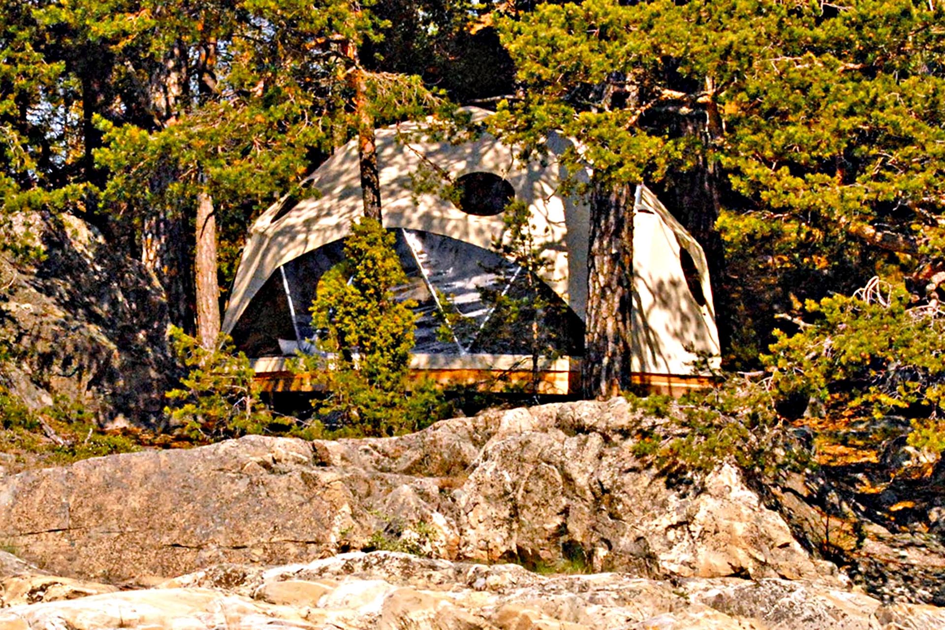 A pod hidden amongst the trees.