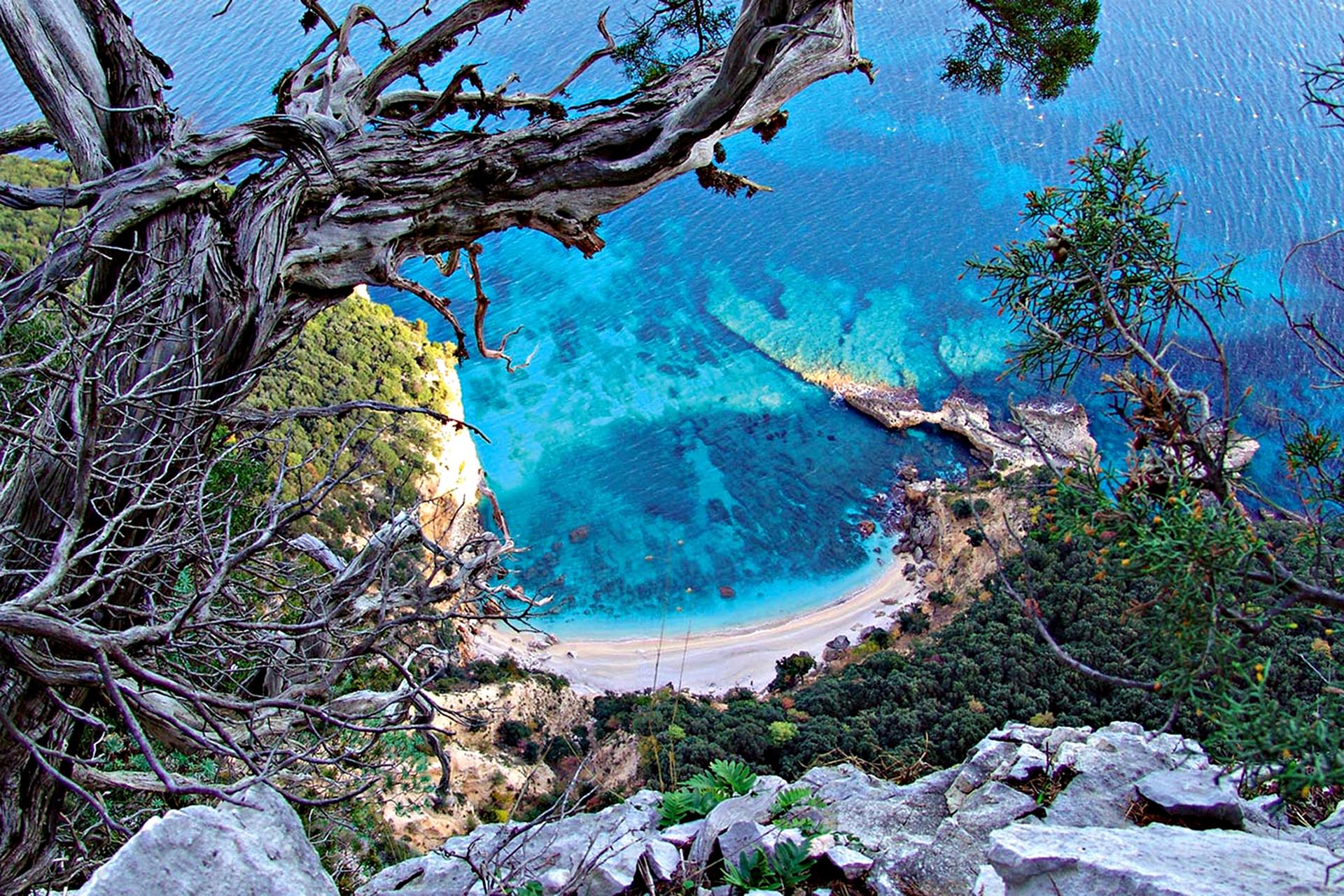 A bird's eye view shot of the cove from the height of a mountain.