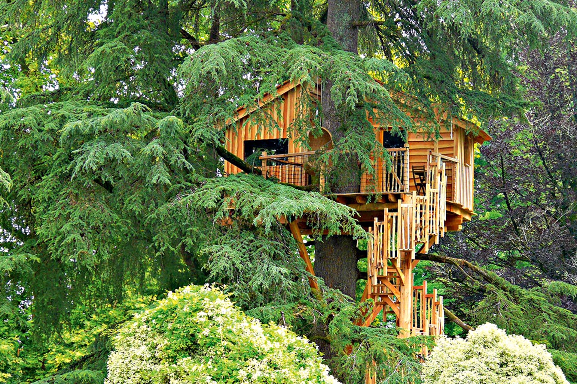 A wooden treehouse hidden in a tree.