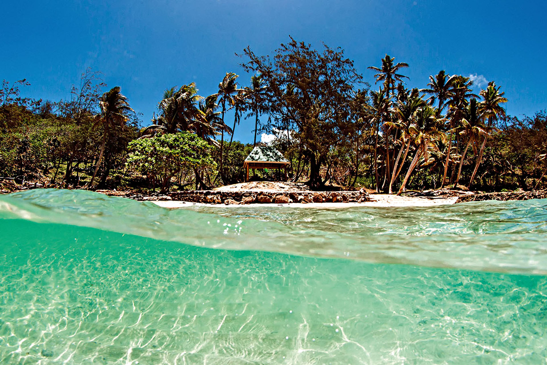 A view from the water of an island filled with palm trees.