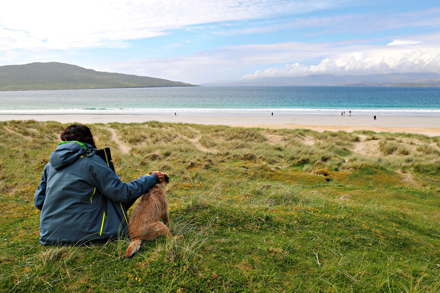 A person and their dog sitting on the grass, looking out to the beach.