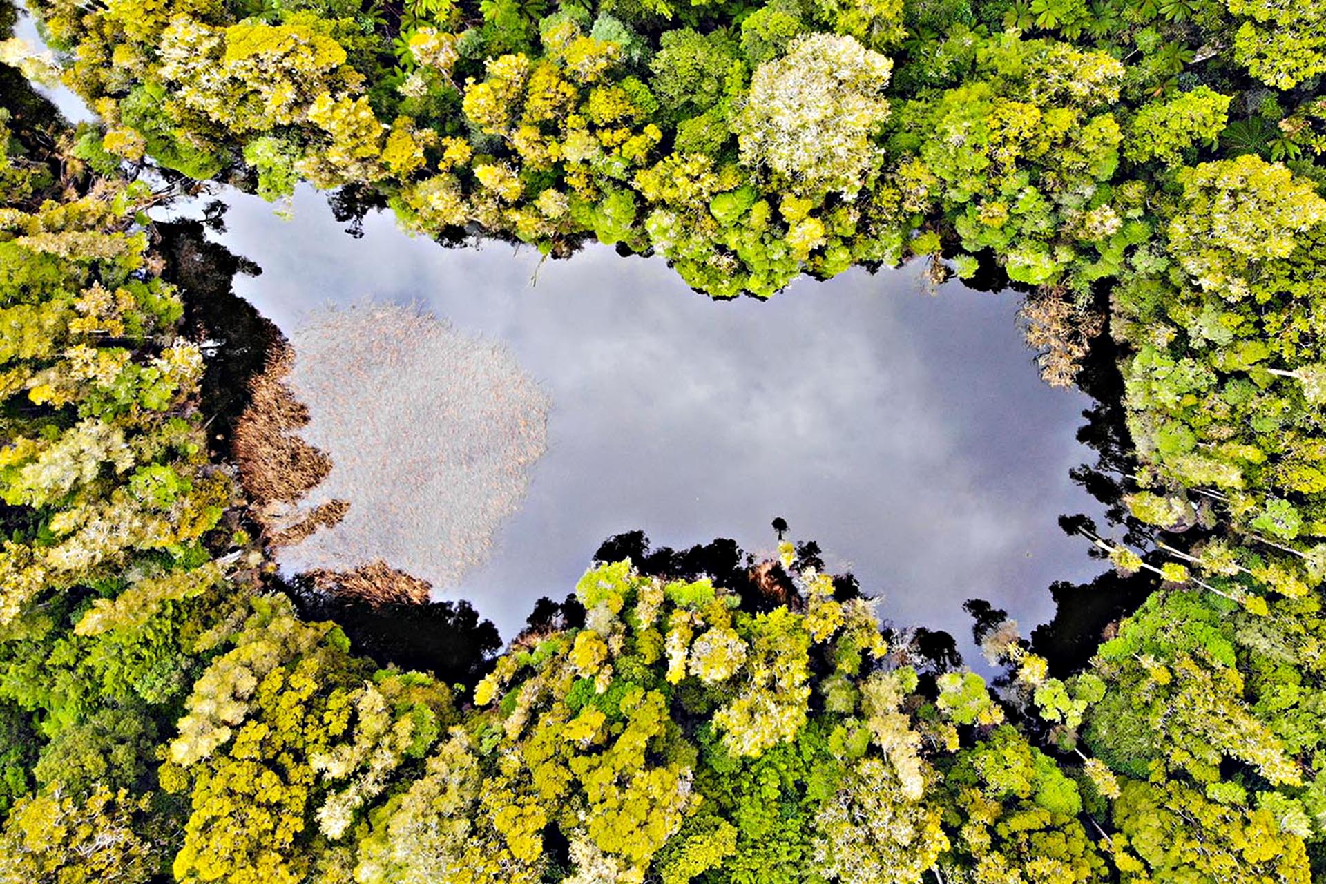 A birds-eye-view of a hidden lagoon surrounded by trees.