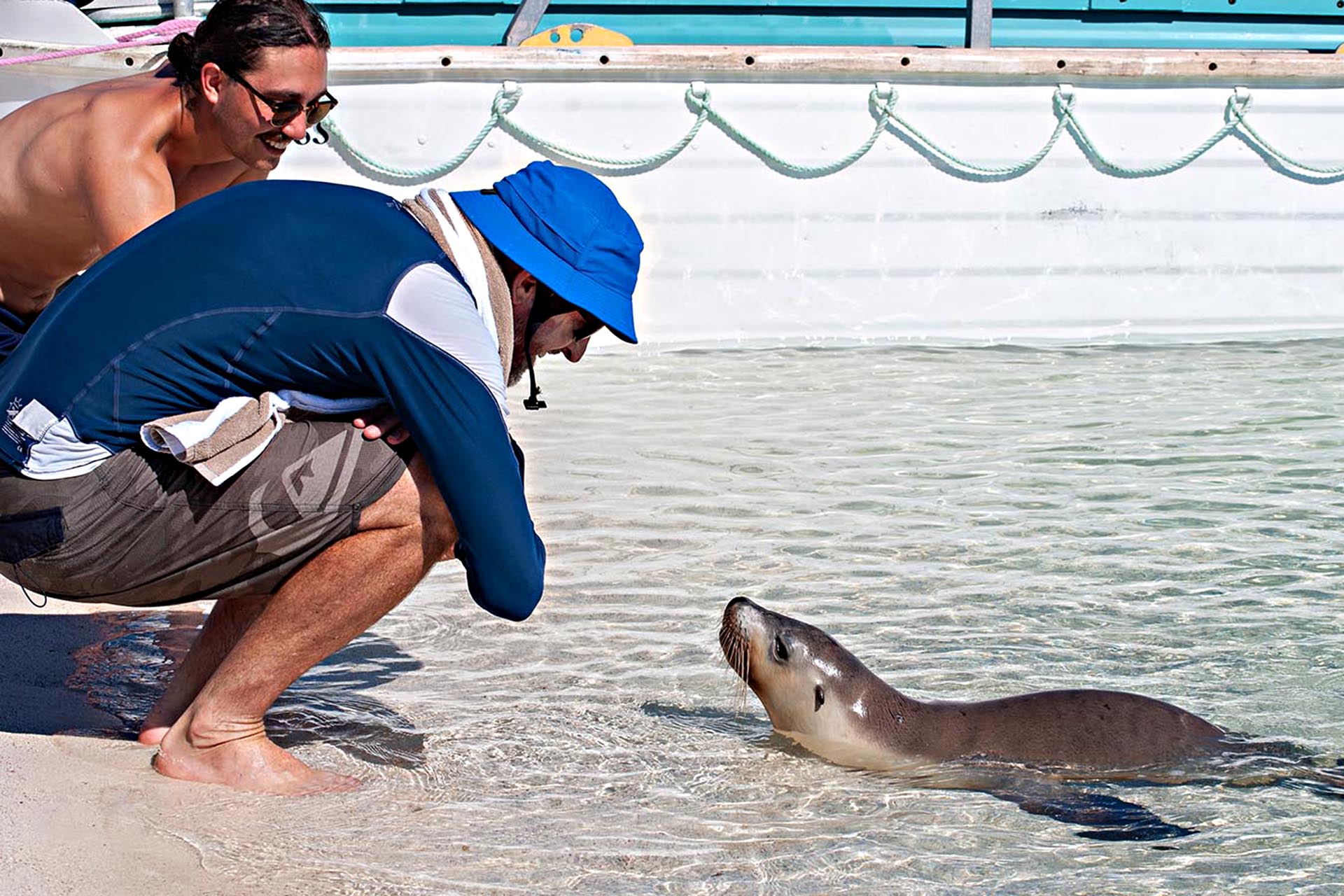 Passengers with a young sea lion on Morley Island.