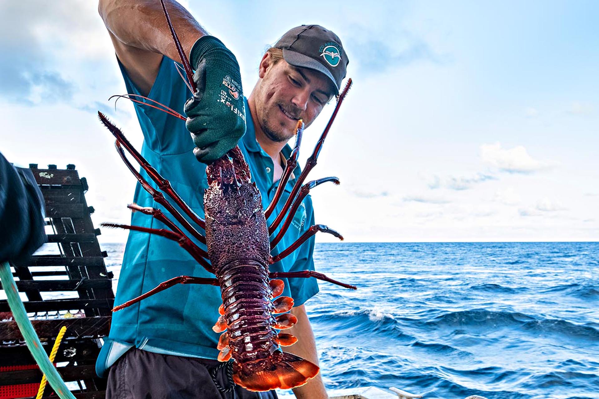 Deckhand Riley Ellson pulls the lobster pots.