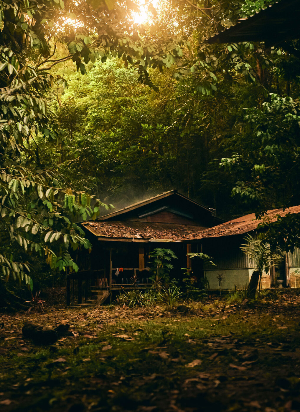 A beautiful shack out in the forest, the sun is peaking in through the trees.