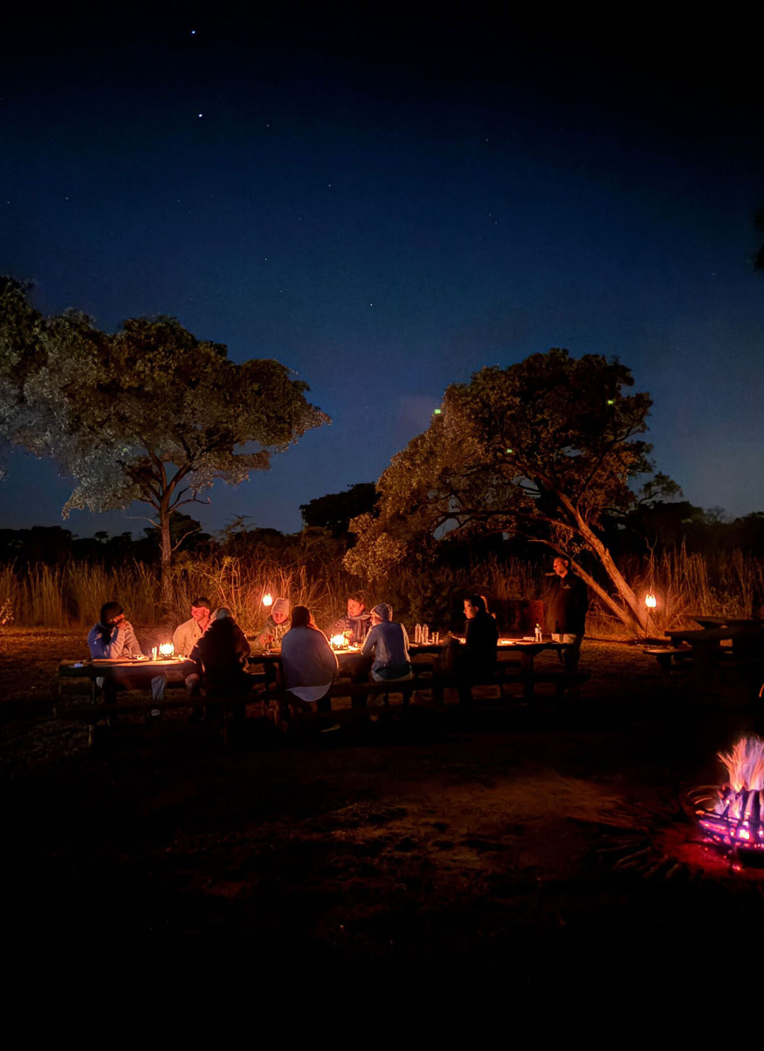After an epic South African feed? Have a bush braai. 