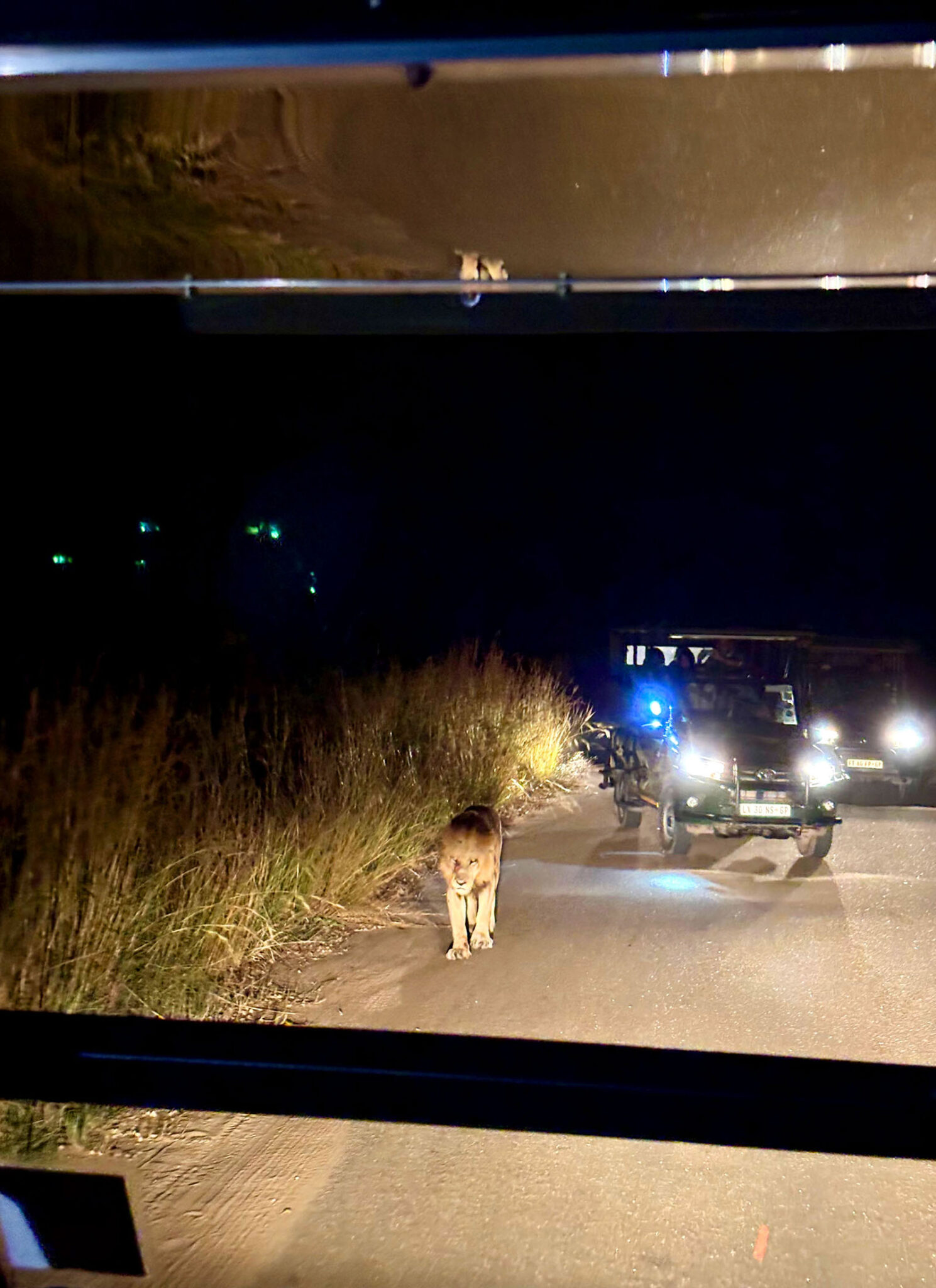 The king of Kruger.