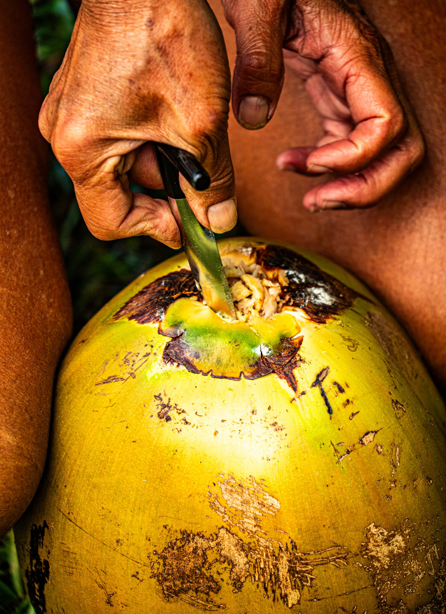 Natural beauty tapping into fresh coconuts.