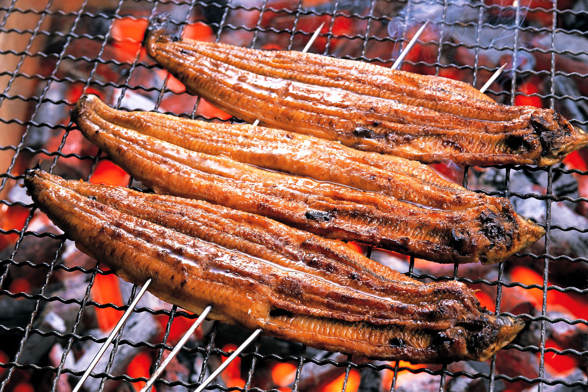 Grilled unagi cooking over charcoal in Hamamatsu, Japan.