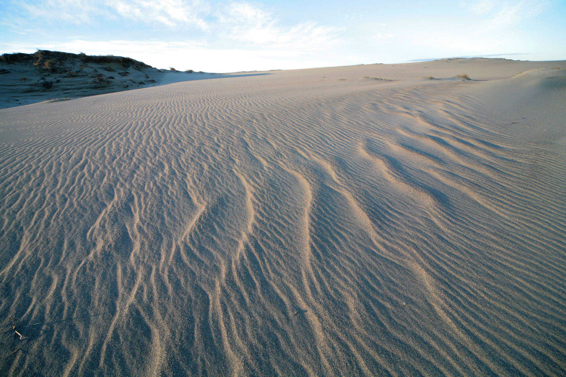 Wind-swept sand at Nakatajima Sand Dunes in Hamamatsu.