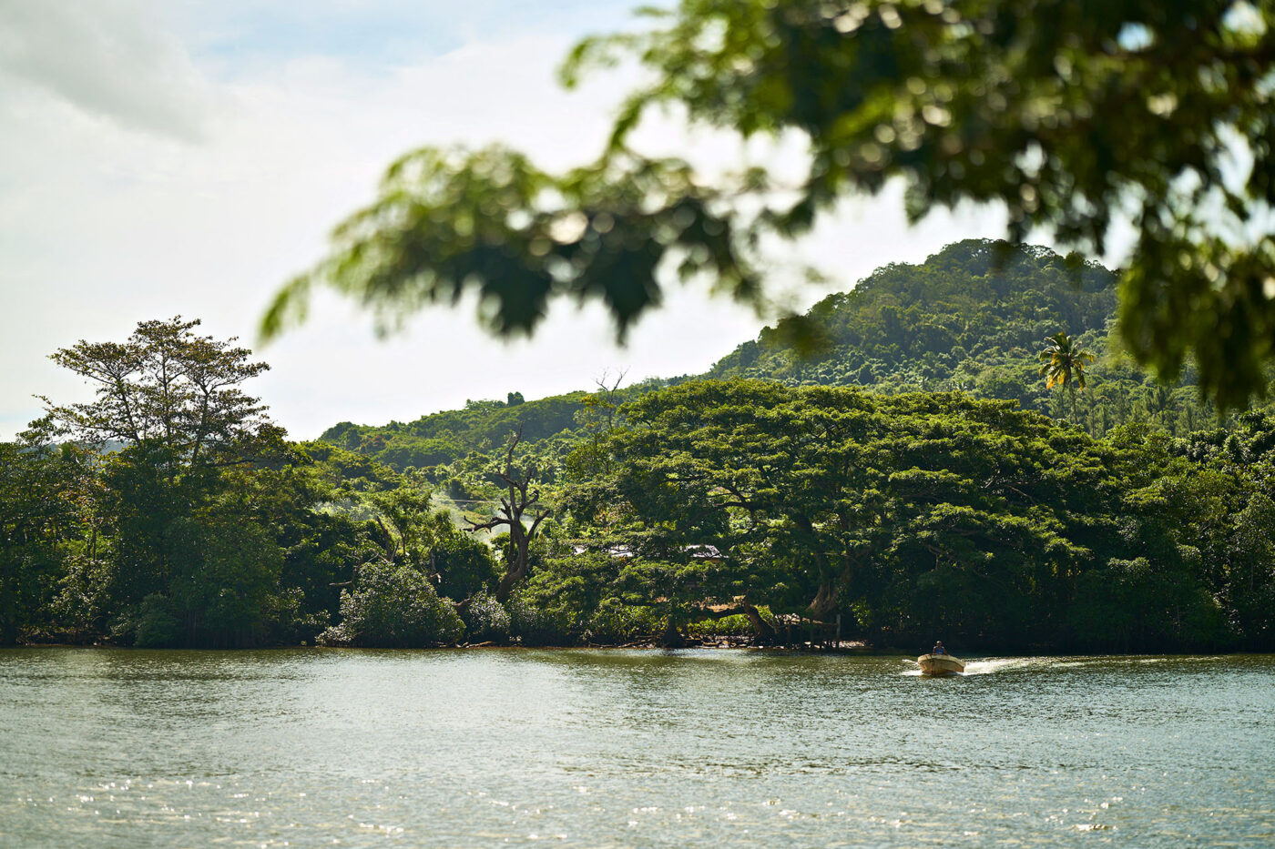 River and rainforest near Sanfred’s home on Vanua Levu, Fiji.