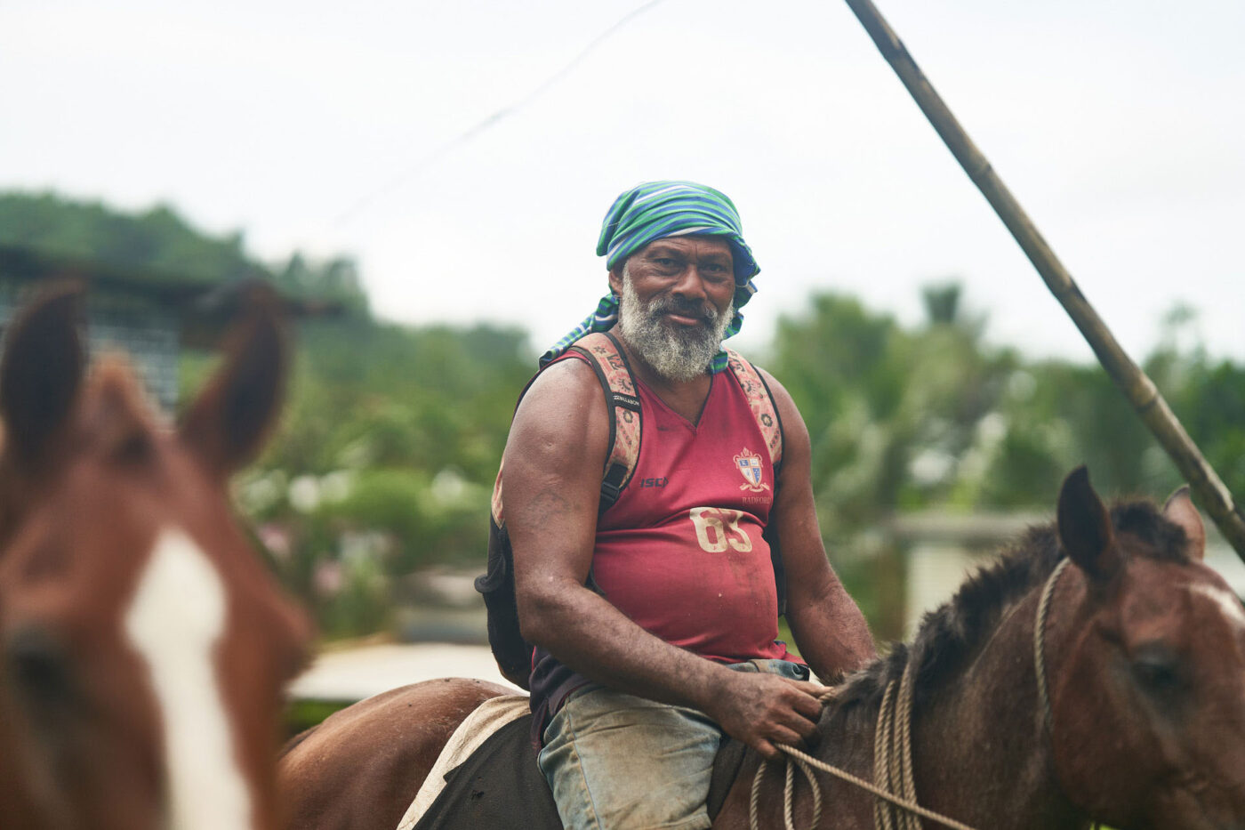 Kava farmer travelling by horseback on Vanua Levu, Fiji.