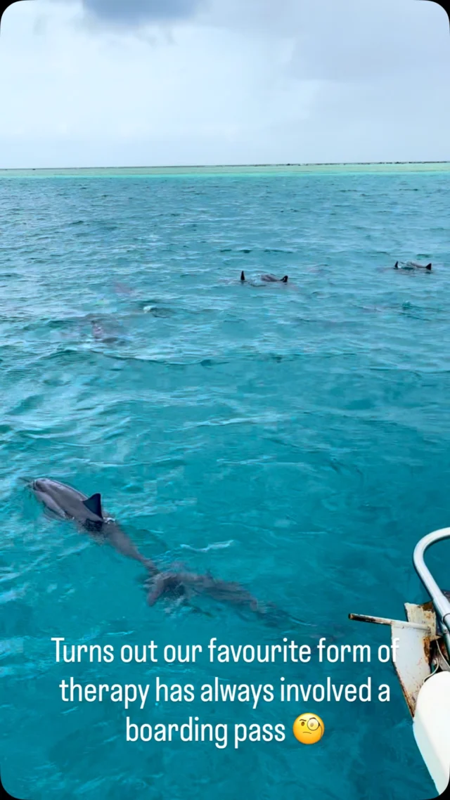Following our content may induce side effects that include spontaneous flight bookings, an empty bank account and an overwhelming urge to play with dolphins in Fiji 🐬
