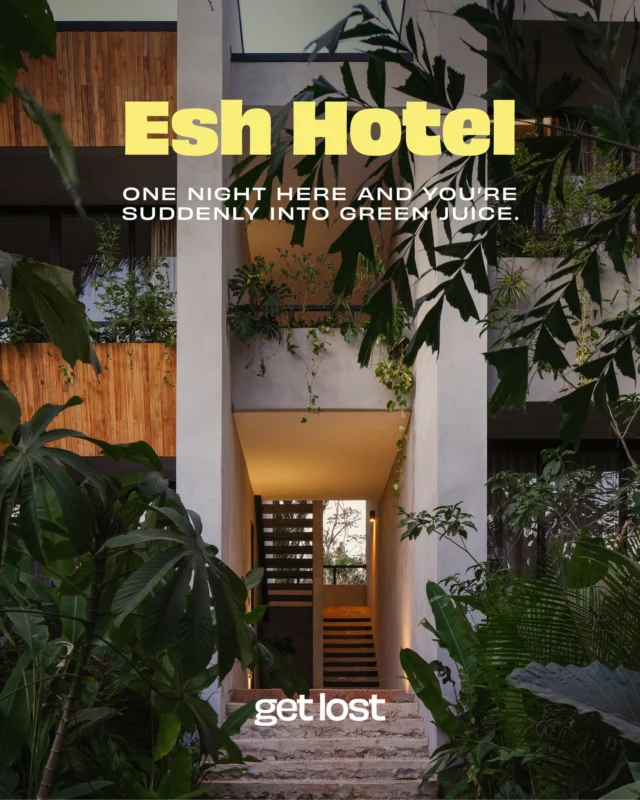 Warning: staying at Esh Hotel may result in you becoming the sort of person who wakes up before sunrise voluntarily 😮⁠
⁠
Jungle hideaway ✔️⁠
Private plunge pools ✔️⁠
Outdoor bathtubs ✔️⁠
Howler monkeys as your alarm clock ✔️⁠
⁠
Intrigued? Visit the link in our bio 🔗