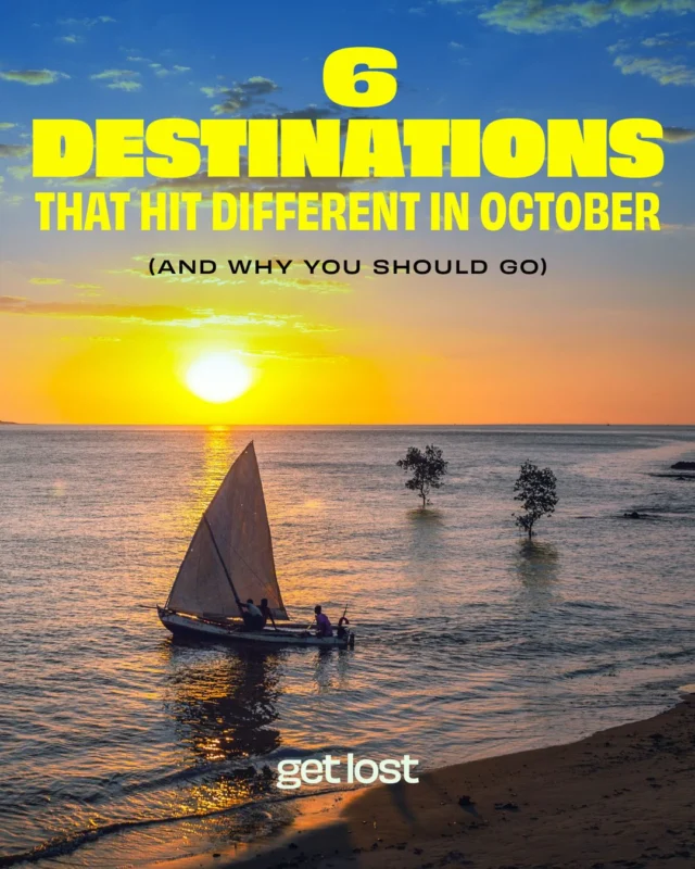October is upon us and here’s our tips for what to do and where to go this month.
What’s your choice? Whales, vampires, deserts, spiritual awakening, nesting 😳?

Wishing Dracula World was finished! 🧛